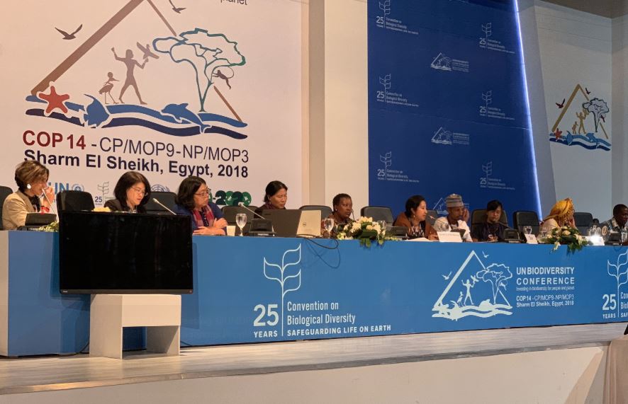 Incoming Bolsonaro government sparks concern at UN environmental conference