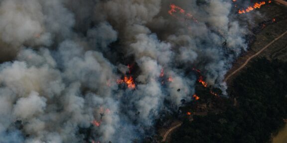 Amazon burning in fires