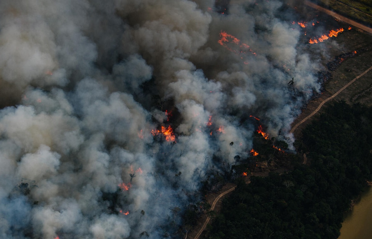 Amazon burning in fires