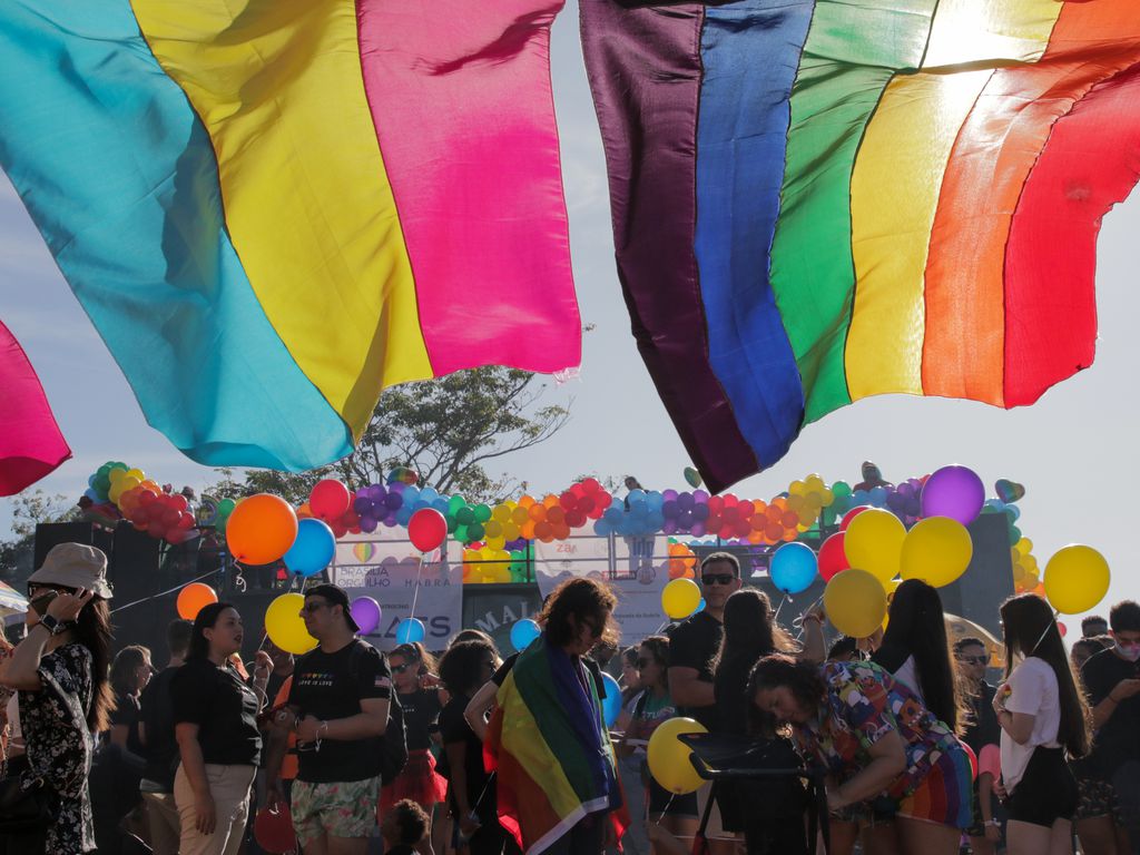 20% of Brazilians still consider homosexuality a disease: study - Brazil  Reports