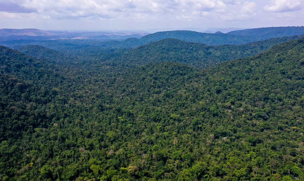 EUA anunciam transferência de US$ 500 milhões ao Fundo Amazônia em cinco anos