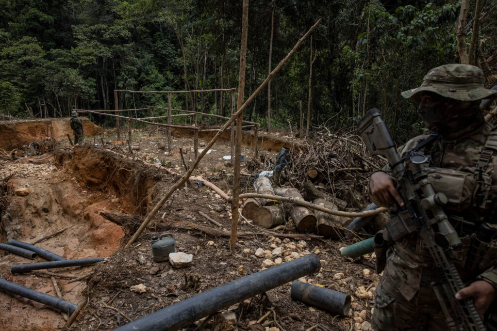 A preserved  rainforest worth USD $317 billion per year: World Bank -  Brazil Reports