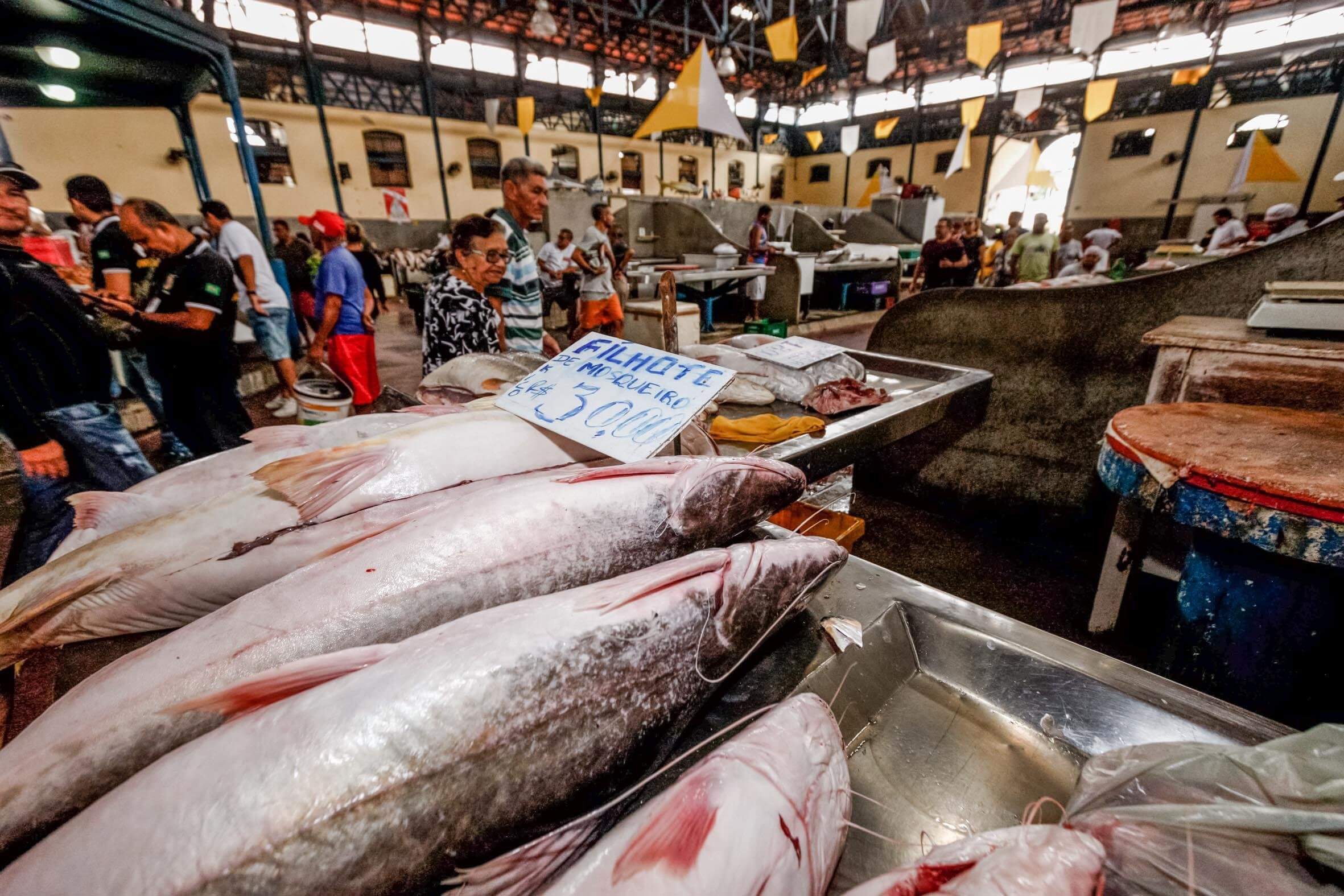 Fish traded in a public market in Belém (Fernando Araújo/Courtesy of Agência Pará)