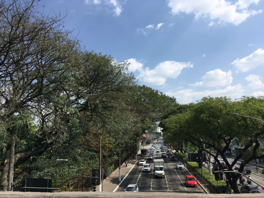 Temperatures reached close to 104°F in São Paulo (Thiago Alves/Brazil Reports)