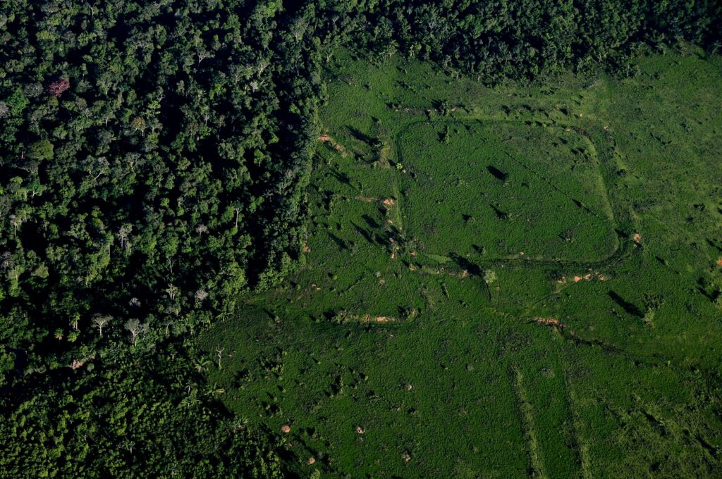 Siglos de presencia indígena en la Amazonia desafían los intentos legales de limitar los derechos de los pueblos nativos de Brasil
