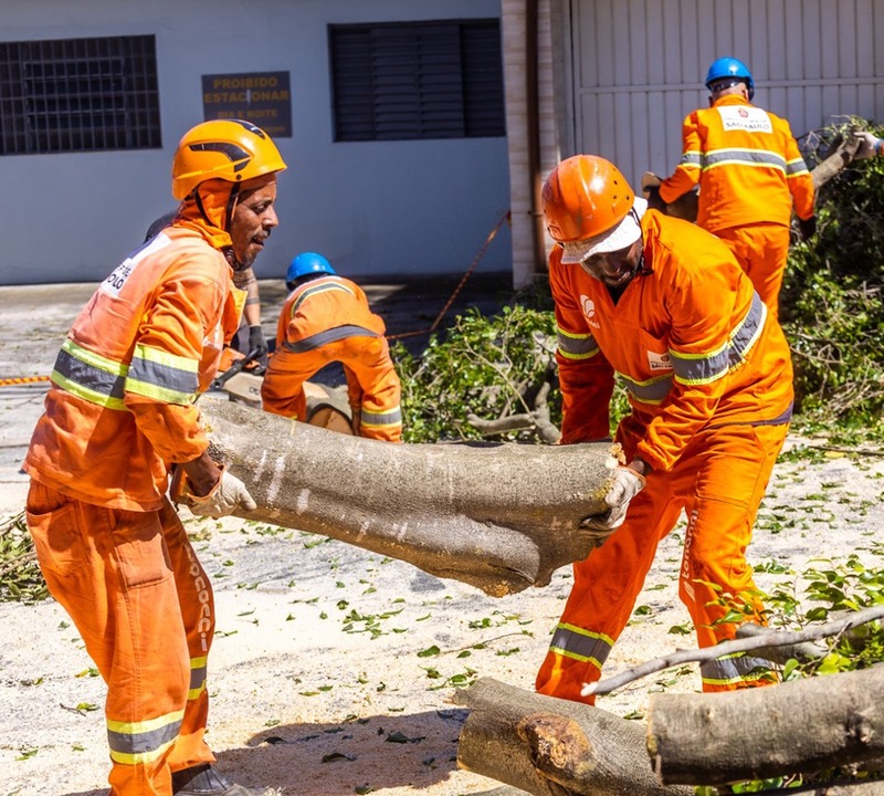 Enel São Paulo under heavy political pressure again - BNamericas