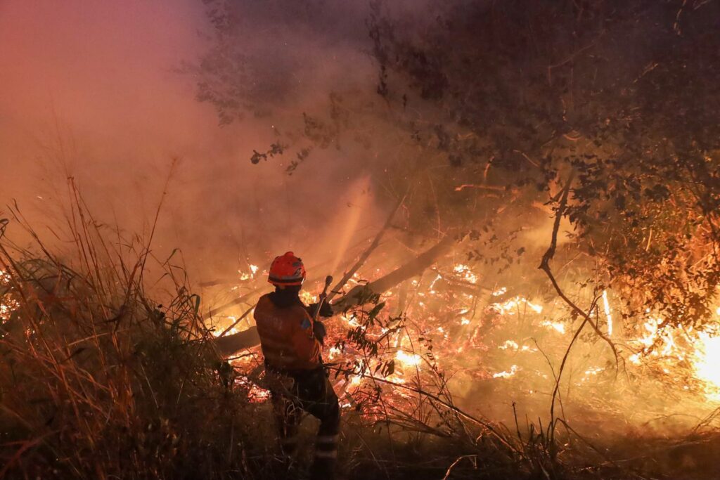 Firefighters battle blazes in the Pantanal (Alvaro Rezende / Mato Grosso do Sul Communications Office)